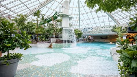 Center Parcs Park Zandvoort holiday park in Zandvoort .